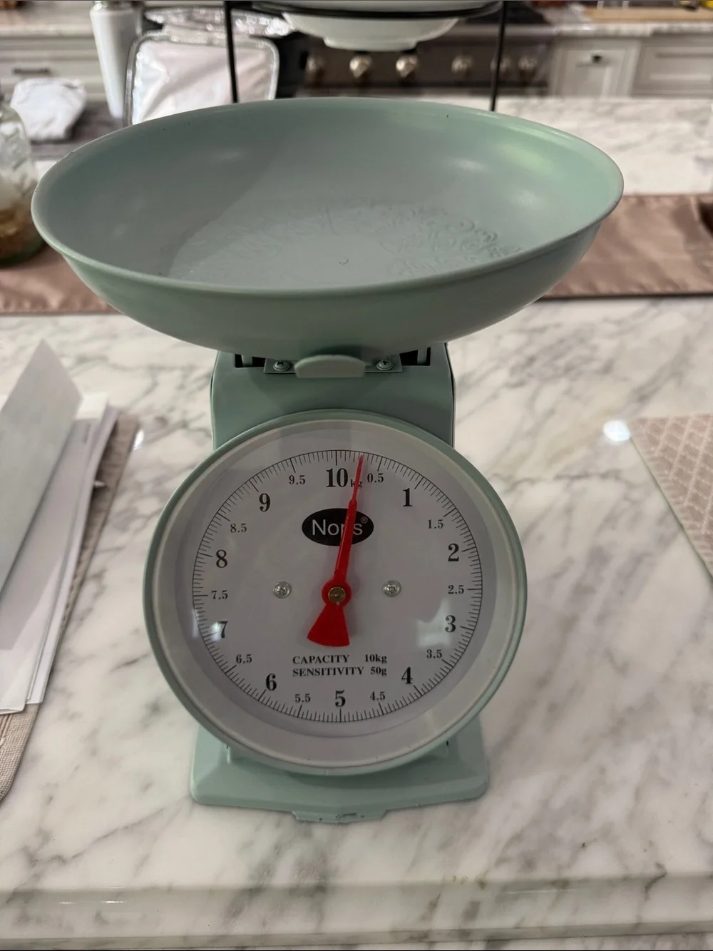 NOR Retro Mint Green Analog Kitchen Scale with Red Pointer